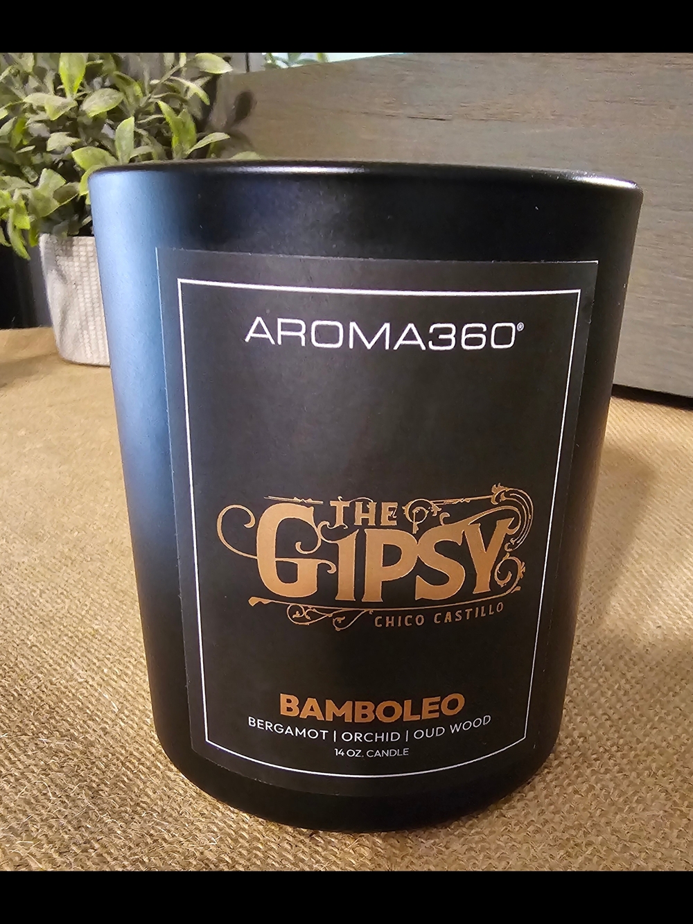 Aroma360 "The Gipsy Kings" Bamboleo Candle
